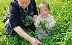 王者荣耀女英雄被捅到流口水